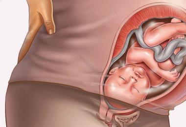 Augmentation du tonus utérin : ce qu'il faut savoir Pourquoi l'hypertonie utérine survient pendant la grossesse