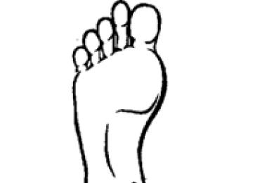 Tipuri de picioare umane și tipuri de degete Tipuri de picioare umane